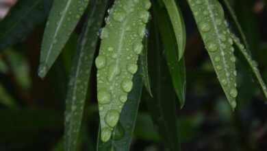 drop or retry decisions