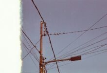 support line usage metrics