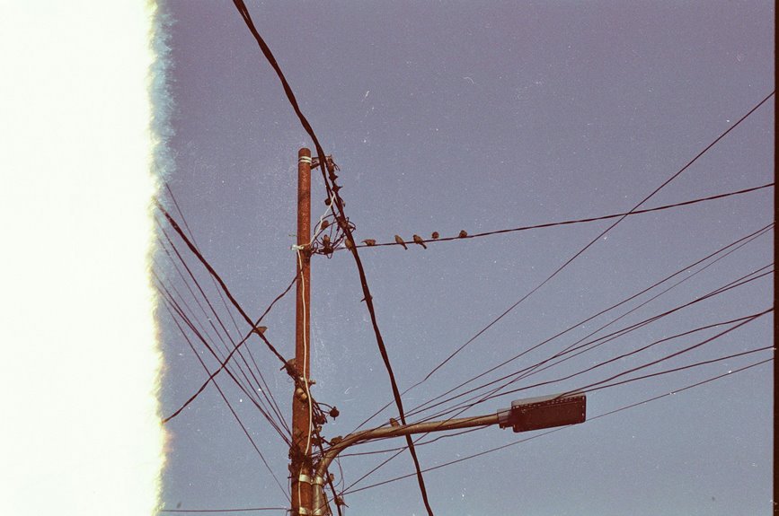 support line usage metrics