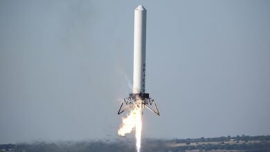 trial test identifier 7946