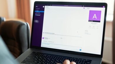 erp system access login