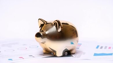 jann mardenborough financial status