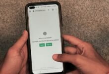 lupin login portal access