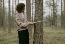 neeraj pepsu s height inquiry