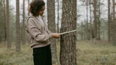 neeraj pepsu s height inquiry