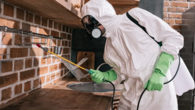 From Cracks to Termites: Why Toowoomba Properties Need Regular Inspections