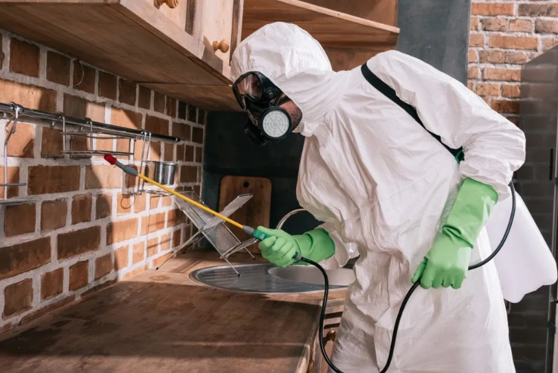 From Cracks to Termites: Why Toowoomba Properties Need Regular Inspections