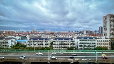 network oversight contact numbers