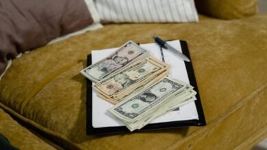 network systems audit council