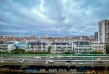 network technical bureau numbers