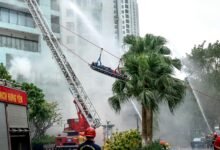 telecom security department contacts