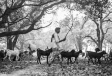 business environment analysis summary