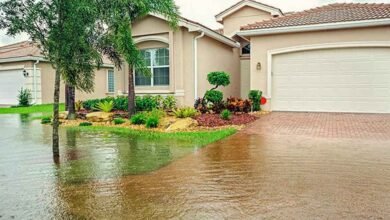 The One Seasonal Cleanout That Prevents Surprise Flooding Around Your Property