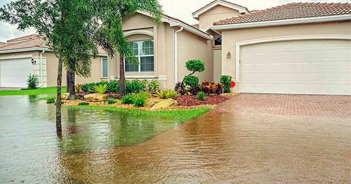 The One Seasonal Cleanout That Prevents Surprise Flooding Around Your Property