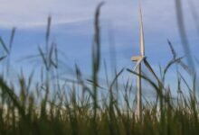 digital growth solution 800004848