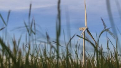 digital growth solution 800004848