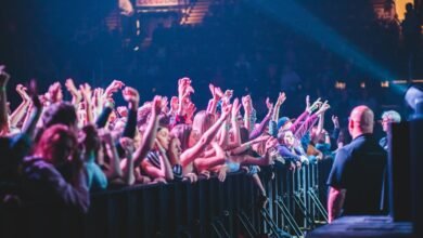 high performance online model