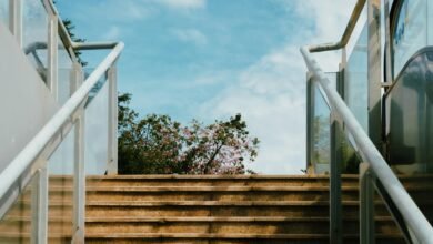 stability through professional networking