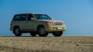 stable digital platform 619963470